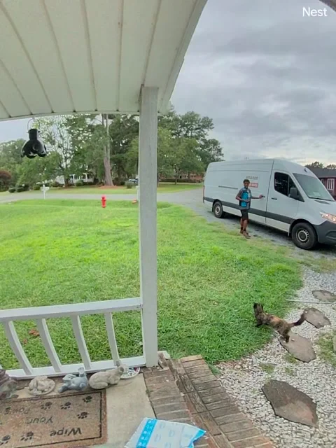 Singing Amazon Delivery Driver Stops To Pet Cat Named Squirrel, Princeton, North Stock Footage 322550267