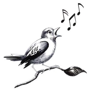 Singing bird Illustrazione stock