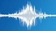 Singing birds in a city park Sound Effect