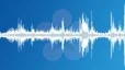 Singing birds in a city park Sound Effect