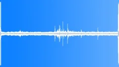 Singing birds in a city park Sound Effect