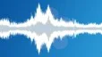 Singing birds in a city park Sound Effect