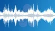 Singing birds in a city park Sound Effect