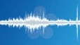 Singing birds in a city park Sound Effect