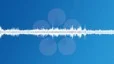 Singing birds in a city park Sound Effect