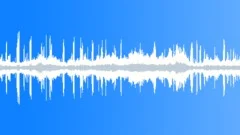 Singing birds in a city park Sound Effect