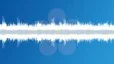 Singing birds in a city park Sound Effect