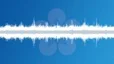 Singing birds in a city park Sound Effect