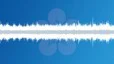 Singing birds in a city park Sound Effect