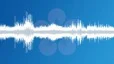 Singing birds in a city park Sound Effect