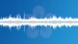 Singing birds in a city park Sound Effect