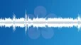 Singing birds in a city park Sound Effect