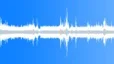 Singing birds in a city park Sound Effect