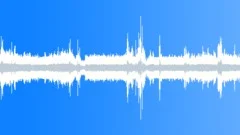 Singing birds in a city park Sound Effect