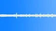 Singing of birds in the park Sound Effect