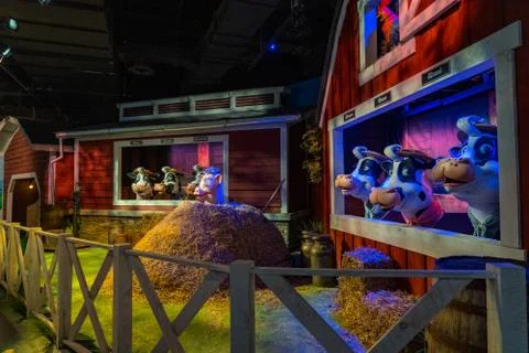 Singing Cows at Hershey Stock Photos