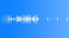 Singing Frogs, Spring Peepers Sound Effect