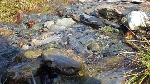 Singing Mountain Stream Stock Footage 244330245