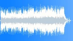 The Singing PianoStock Music