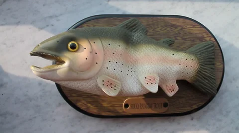 Singing rubber fish Video stock 30363264