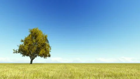 Singl autumn tree on a meadow 3D render Stock Illustration