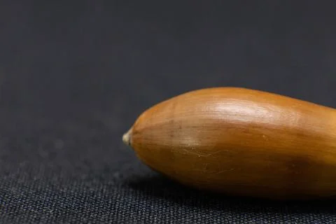A single acorn, a seed from an oak tree, rests on a dark surface, symbolizing Foto stock