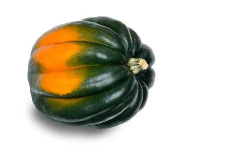 Single Acorn Squash on White Background Stock Photos