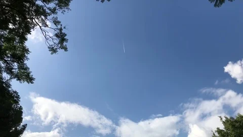 Single aeroplane fly up high in the clear blue sky leaving a straight line trail Video stock 83396123