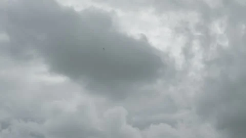Single aircraft scene. Dark clouds backdrop with airplane. Solo plane flying Stock Footage 336862660