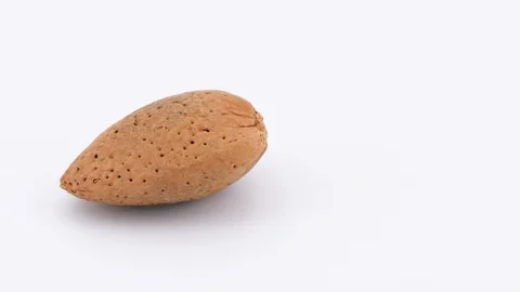 Single almond isolated on white background, rotating (loopable), copy-space Vídeos de archivo 87701520