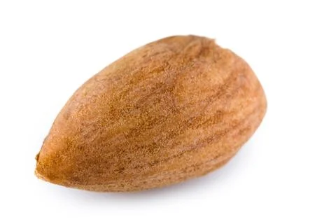 Single almond nut Stock Photos