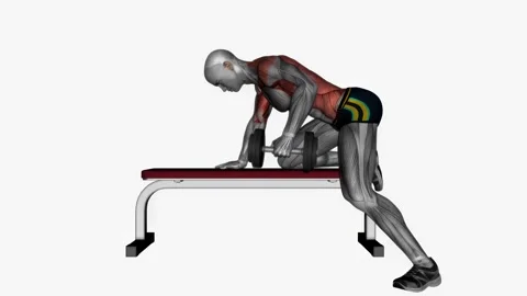 Single arm bench bent over row fitness exercise workout animation male muscle hi Video stock 243984511
