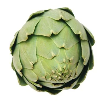 Single artichoke Stock Photos