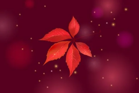 Single Autumn grape leaf isolated on beautiful dark brown background with lig Stock Illustration
