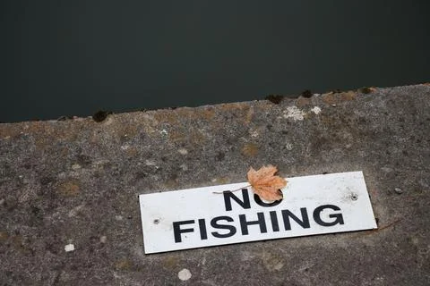 Single autumn leaf and no fishing sign on concrete riverbank Stock Photos