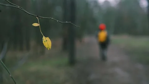 Single autumn leaf on a bare tree branch. Person going away on background. 動画素材 322124646