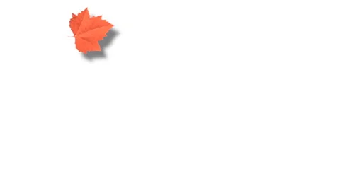 Single autumn leaf falling on white Stock Footage 246984981