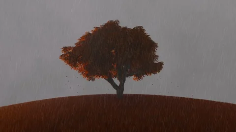 Single Autumn Tree On a Meadow With Rain Video stock 97694471
