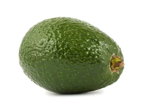 Single avocado Stock Photos