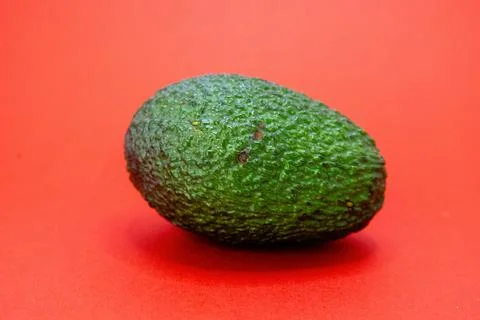 A single avocado sits on a red background. Stock Photos
