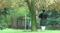 Single bagpipe player under tree at Highland Gathering HD Footage
