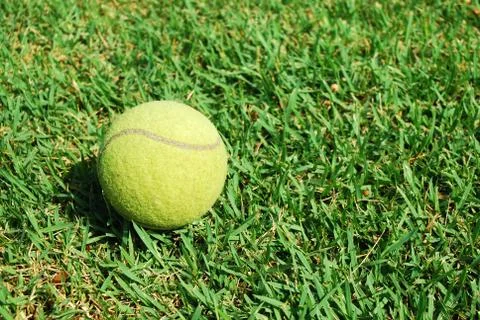 Single ball in the grass Stock Photos