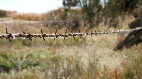 Single Barbed Wire Fence Stock Footage 850184