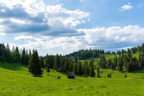 Single barn in the middle of a meadow on a medium clouded day Stock Photos