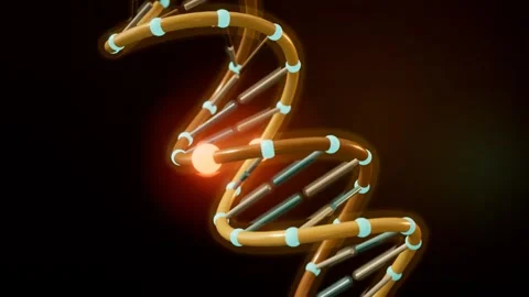Single base pair mutation flaring on dna double helix loop Vídeos de archivo 343194883