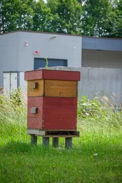 A single beehive stands in a meadow Stockfoto's