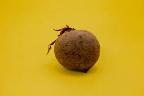 A single beet sits on a bright yellow background. Stock Photos