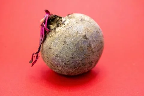 A single beet sits on a red surface. Stock Photos