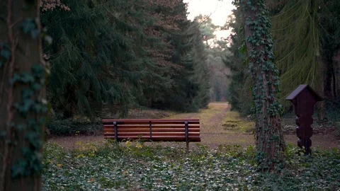 Single bench at empty cemetery, Berlin, Germany. Stock Footage 127218175