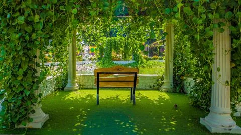 A single bench in green park facing backwards at Dubai, UAE 库存照片